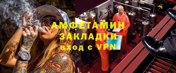прущие грибы Котовск